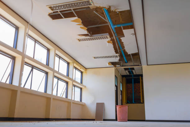 Best Water damage cleanup near me  in Golden Beach, MD