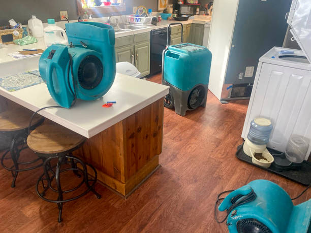 Best Water damage restoration mold remediation  in Golden Beach, MD