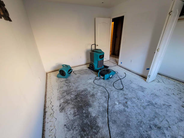 Best Fire Damage Restoration  in Golden Beach, MD
