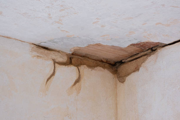 Best Residential water damage restoration  in Golden Beach, MD