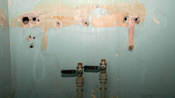 Water damage restoration mold remediation in MD