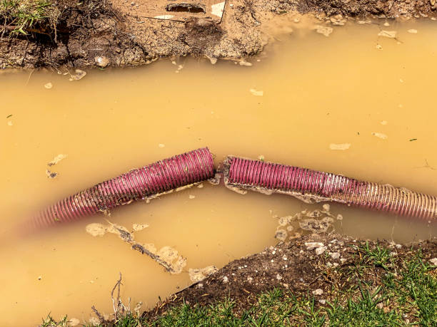 Best Mold removal after water damage  in Golden Beach, MD