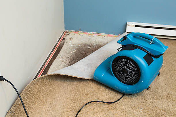 Best Emergency water damage restoration  in Golden Beach, MD